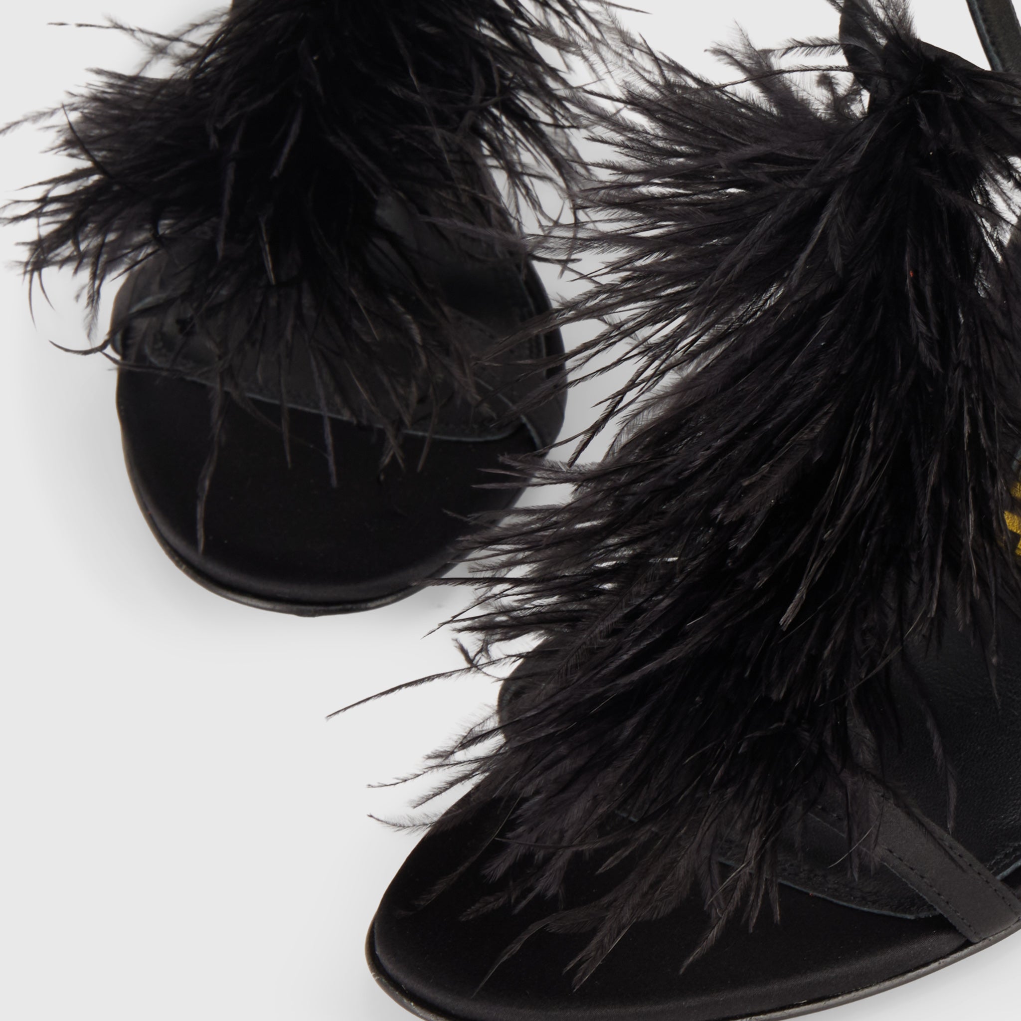 FARYAL Black Feather