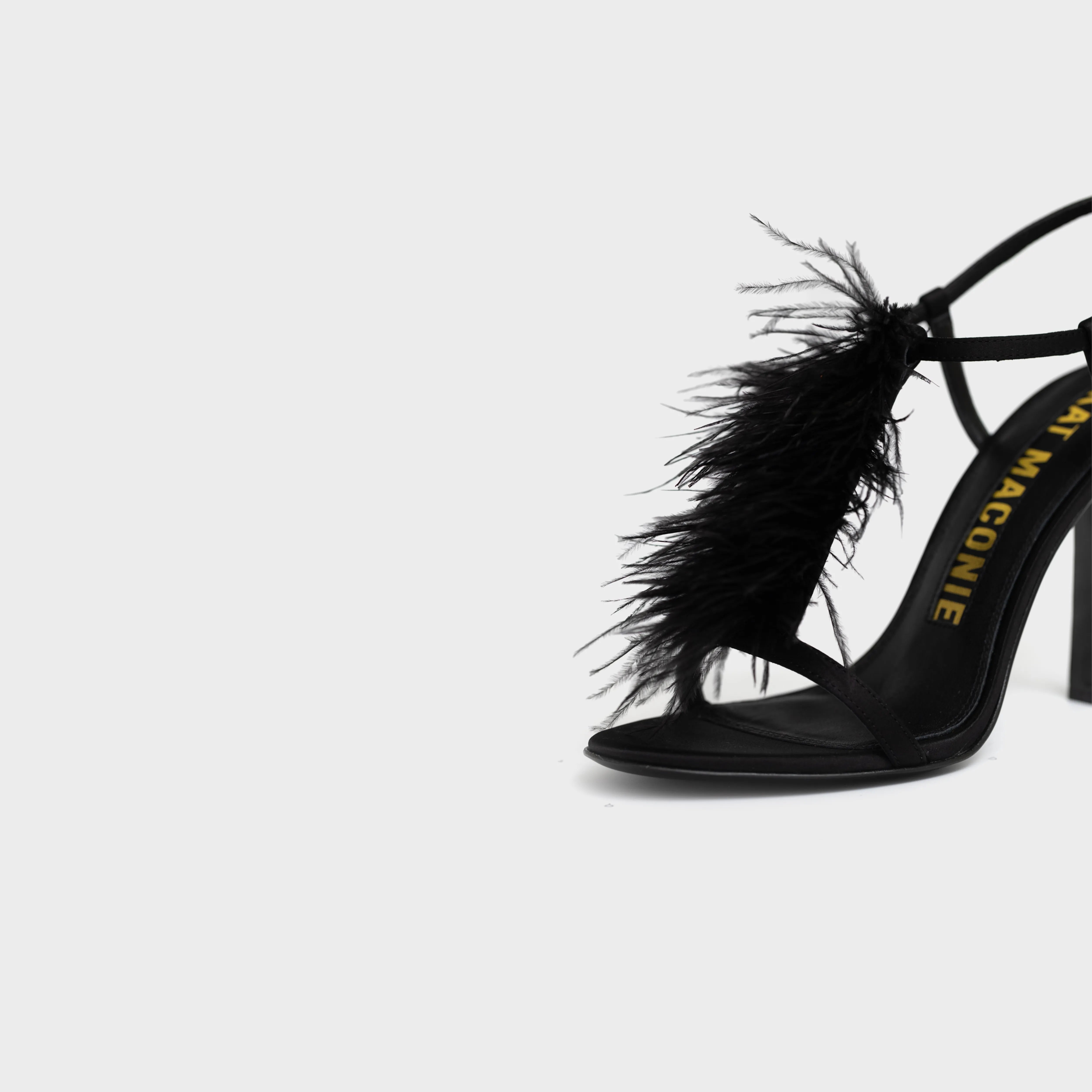 Black Feather