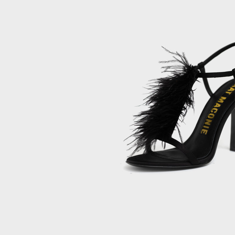 Black Feather