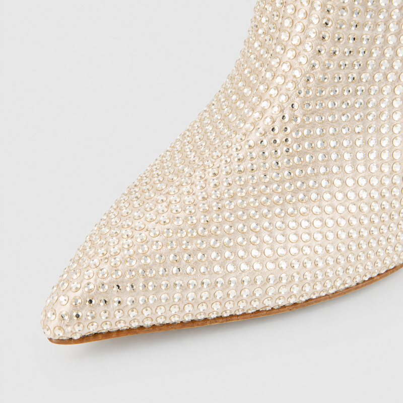 Shru Ankle Boots