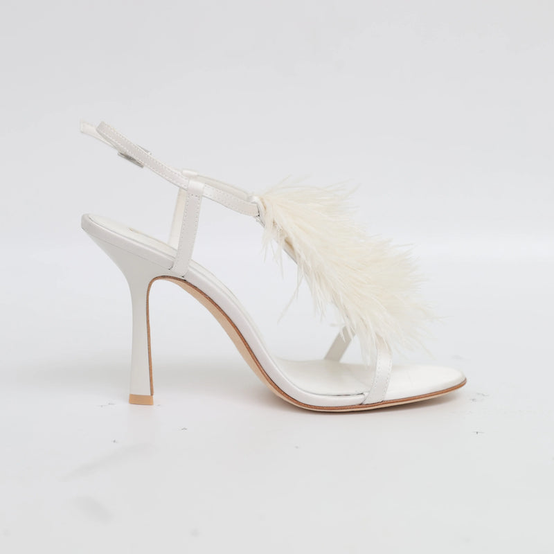 White Feather